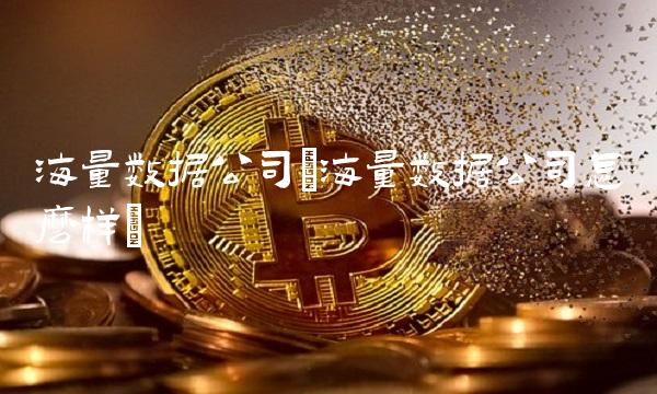 海量数据公司(海量数据公司怎么样) 海量数据公司(海量数据公司怎么样)