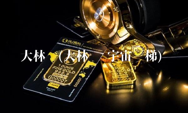 大林组(大林组 宇宙电梯)