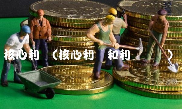 核心利润(核心利润和利润总额)