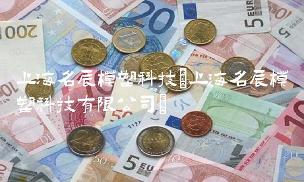 上海名辰模塑科技(上海名辰模塑科技有限公司)