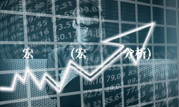 宏发发债(宏发发债分析)