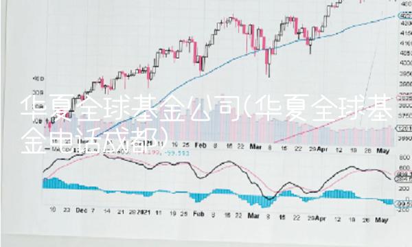华夏全球基金公司(华夏全球基金电话成都)