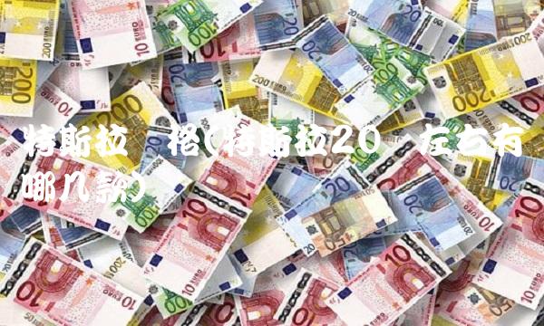 特斯拉价格(特斯拉20万左右有哪几款)