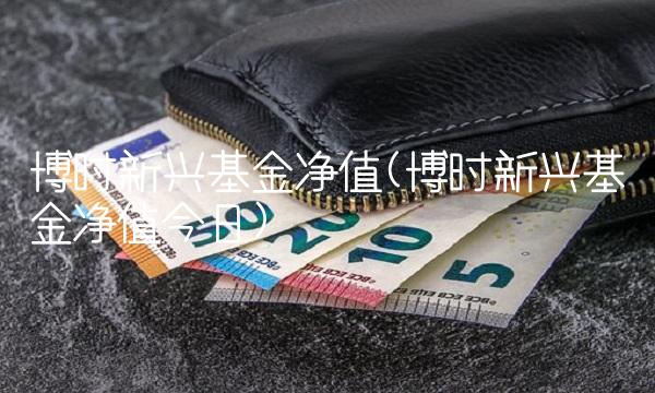 博时新兴基金净值(博时新兴基金净值今日)