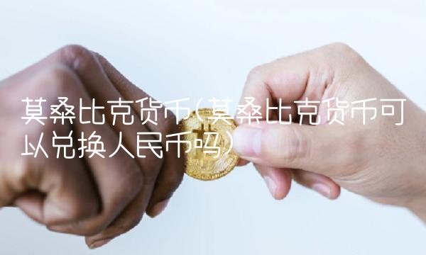 莫桑比克货币(莫桑比克货币可以兑换人民币吗)