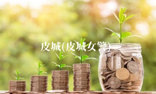 皮城(皮城女警)