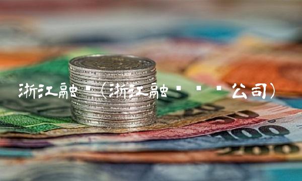 浙江融资(浙江融资诈骗公司)