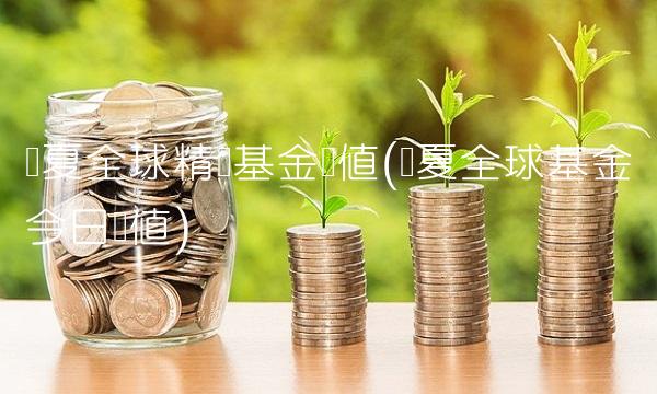 华夏全球精选基金净值(华夏全球基金今日净值) 华夏全球精选基金净值(华夏全球基金今日净值)