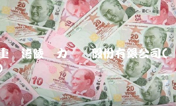 重庆涪陵电力实业股份有限公司() 重庆涪陵电力实业股份有限公司()