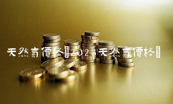 天然气价格(2023天然气价格)