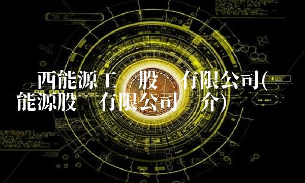 华西能源工业股份有限公司(东华能源股份有限公司简介)