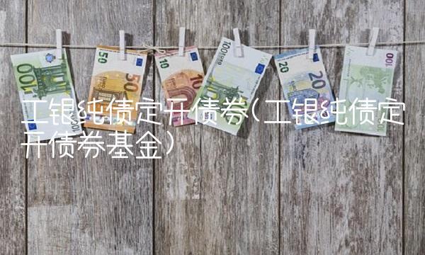 工银纯债定开债券(工银纯债定开债券基金)