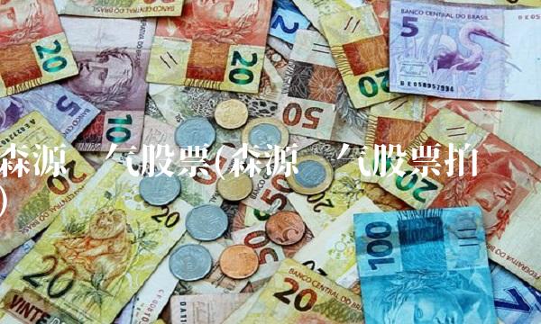 森源电气股票(森源电气股票拍卖) 森源电气股票(森源电气股票拍卖)