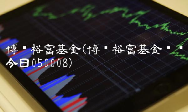 博时裕富基金(博时裕富基金净值今日050008)