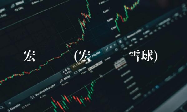 宏发转债(宏发转债雪球) 宏发转债(宏发转债雪球)