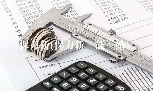 保力新(保力新储能电站) 保力新(保力新储能电站)