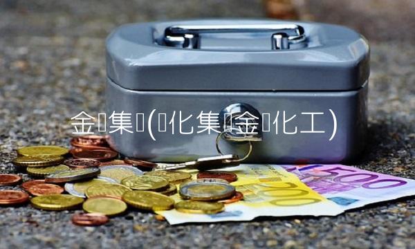 金辉集团(壶化集团金辉化工) 金辉集团(壶化集团金辉化工)