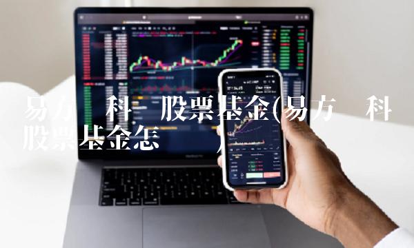 易方达科讯股票基金(易方达科讯股票基金怎么样) 易方达科讯股票基金(易方达科讯股票基金怎么样)