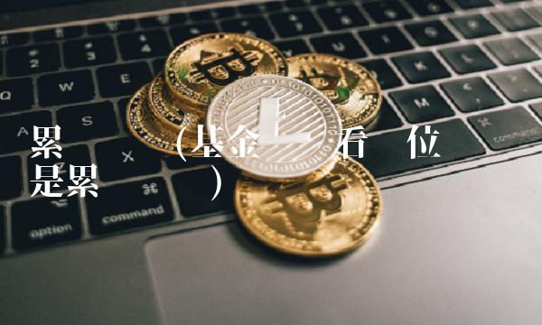 累计净值(基金业绩看单位净值还是累计净值) 累计净值(基金业绩看单位净值还是累计净值)