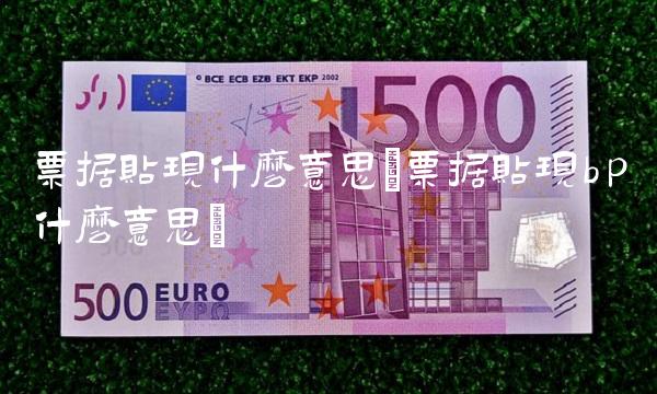 票据贴现什么意思(票据贴现bp什么意思) 票据贴现什么意思(票据贴现bp什么意思)