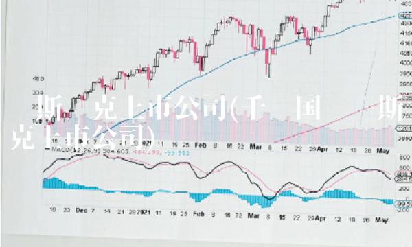 纳斯达克上市公司(千岁国际纳斯达克上市公司)