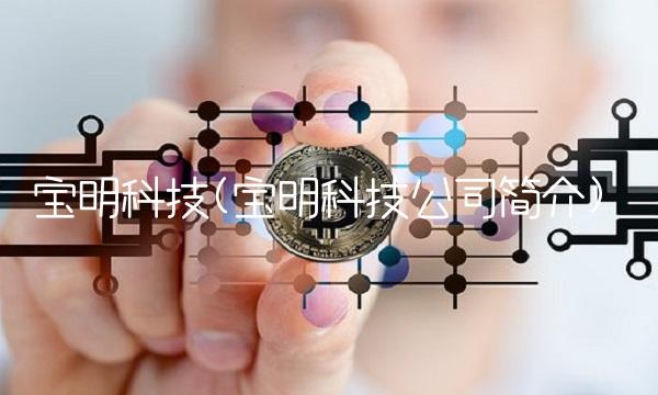 宝明科技(宝明科技公司简介) 宝明科技(宝明科技公司简介)