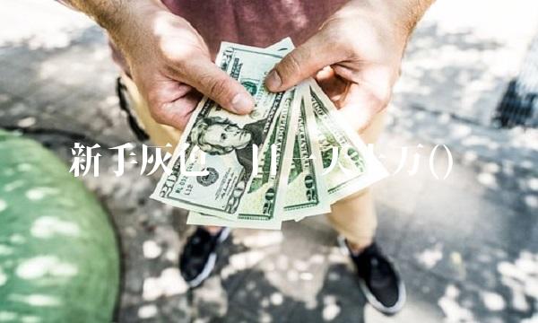 新手灰色项目一天上万() 新手灰色项目一天上万()