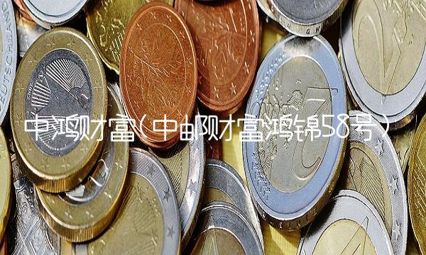 中鸿财富(中邮财富鸿锦58号)