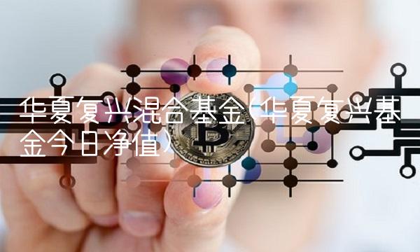 华夏复兴混合基金(华夏复兴基金今日净值)