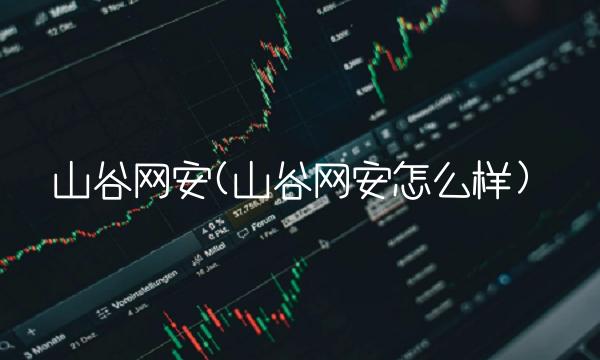 山谷网安(山谷网安怎么样)