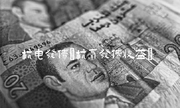 杭电发债(杭氧发债收益)