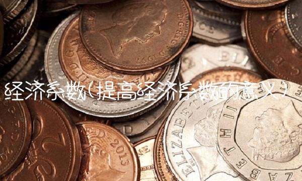 经济系数(提高经济系数的意义) 经济系数(提高经济系数的意义)