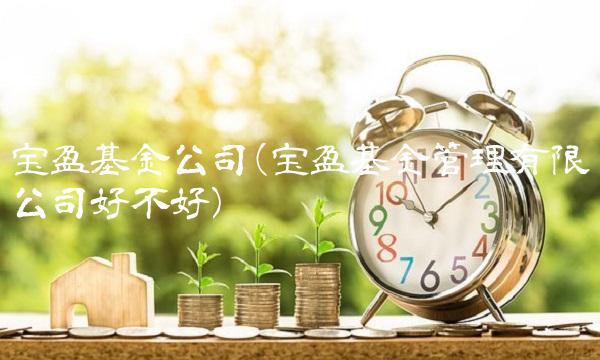 宝盈基金公司(宝盈基金管理有限公司好不好) 宝盈基金公司(宝盈基金管理有限公司好不好)
