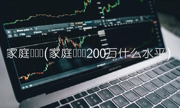 家庭净资产(家庭净资产200万什么水平)