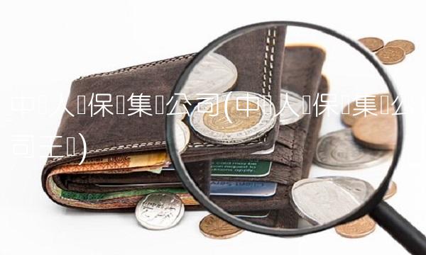 中国人寿保险集团公司(中国人寿保险集团公司王滨)