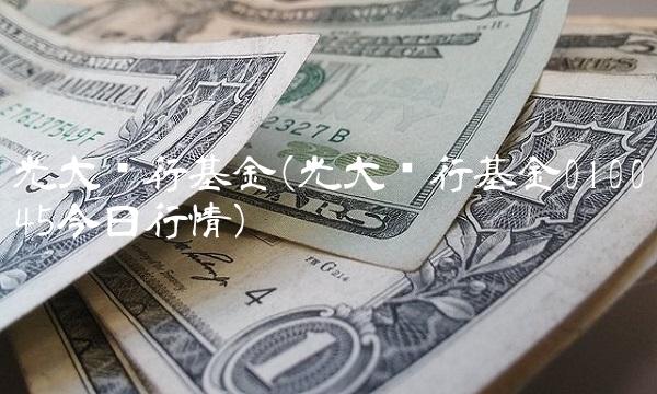 光大银行基金(光大银行基金010045今日行情) 光大银行基金(光大银行基金010045今日行情)
