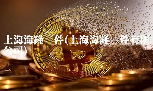 上海海隆软件(上海海隆软件有限公司)