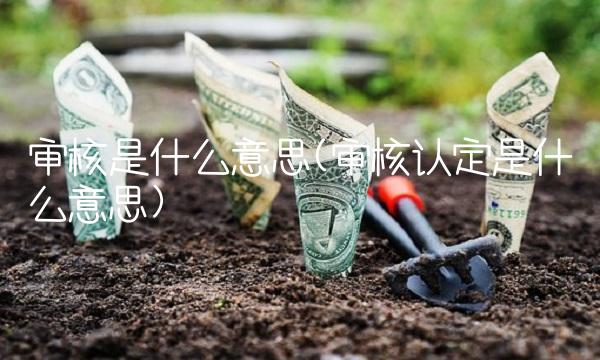 审核是什么意思(审核认定是什么意思)