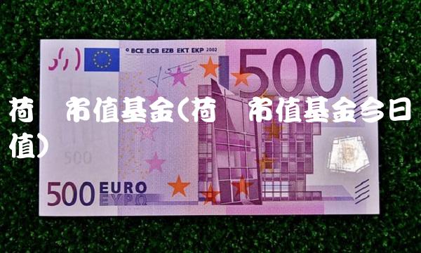 荷银市值基金(荷银市值基金今日净值) 荷银市值基金(荷银市值基金今日净值)