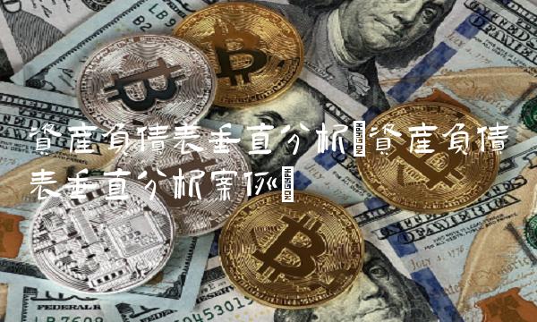 资产负债表垂直分析(资产负债表垂直分析案例)