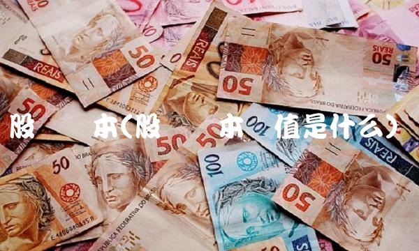 股权资本(股权资本价值是什么) 股权资本(股权资本价值是什么)