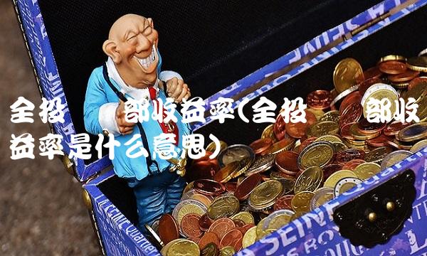 全投资内部收益率(全投资内部收益率是什么意思)