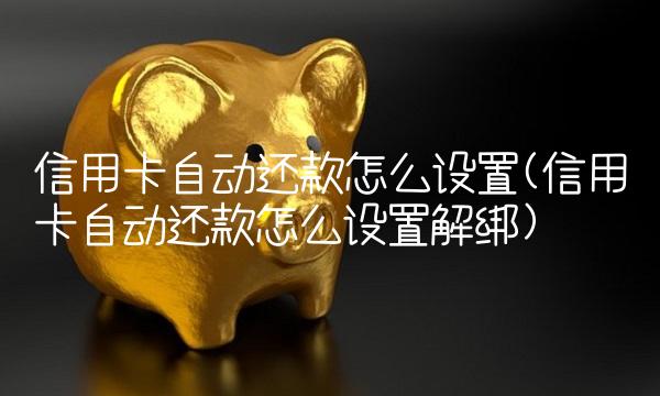 信用卡自动还款怎么设置(信用卡自动还款怎么设置解绑)