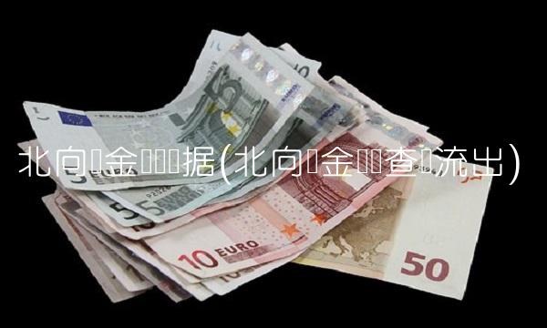 北向资金实时数据(北向资金实时查询流出)