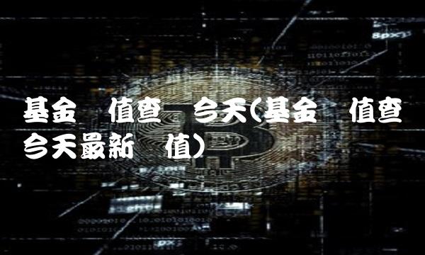 基金净值查询今天(基金净值查询今天最新净值) 基金净值查询今天(基金净值查询今天最新净值)