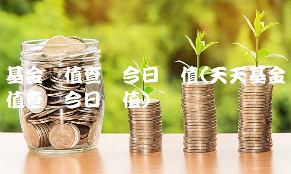 基金净值查询今日净值(天天基金净值查询今日净值) 基金净值查询今日净值(天天基金净值查询今日净值)