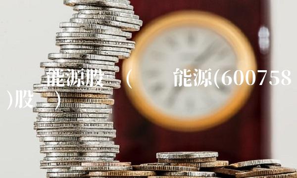 红阳能源股吧(红阳能源(600758)股吧) 红阳能源股吧(红阳能源(600758)股吧)