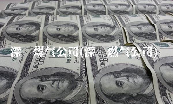 深圳煤气公司(深圳燃气公司) 深圳煤气公司(深圳燃气公司)