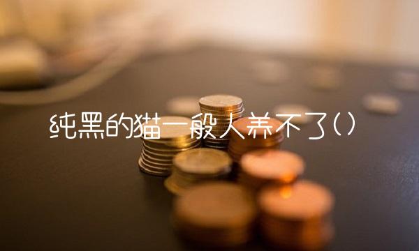 纯黑的猫一般人养不了() 纯黑的猫一般人养不了()
