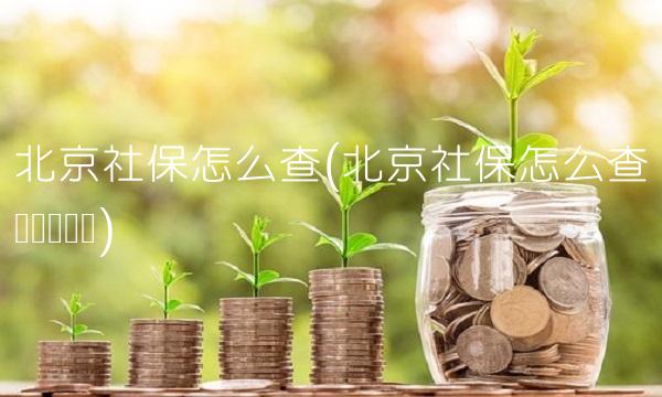 北京社保怎么查(北京社保怎么查询缴费记录) 北京社保怎么查(北京社保怎么查询缴费记录)